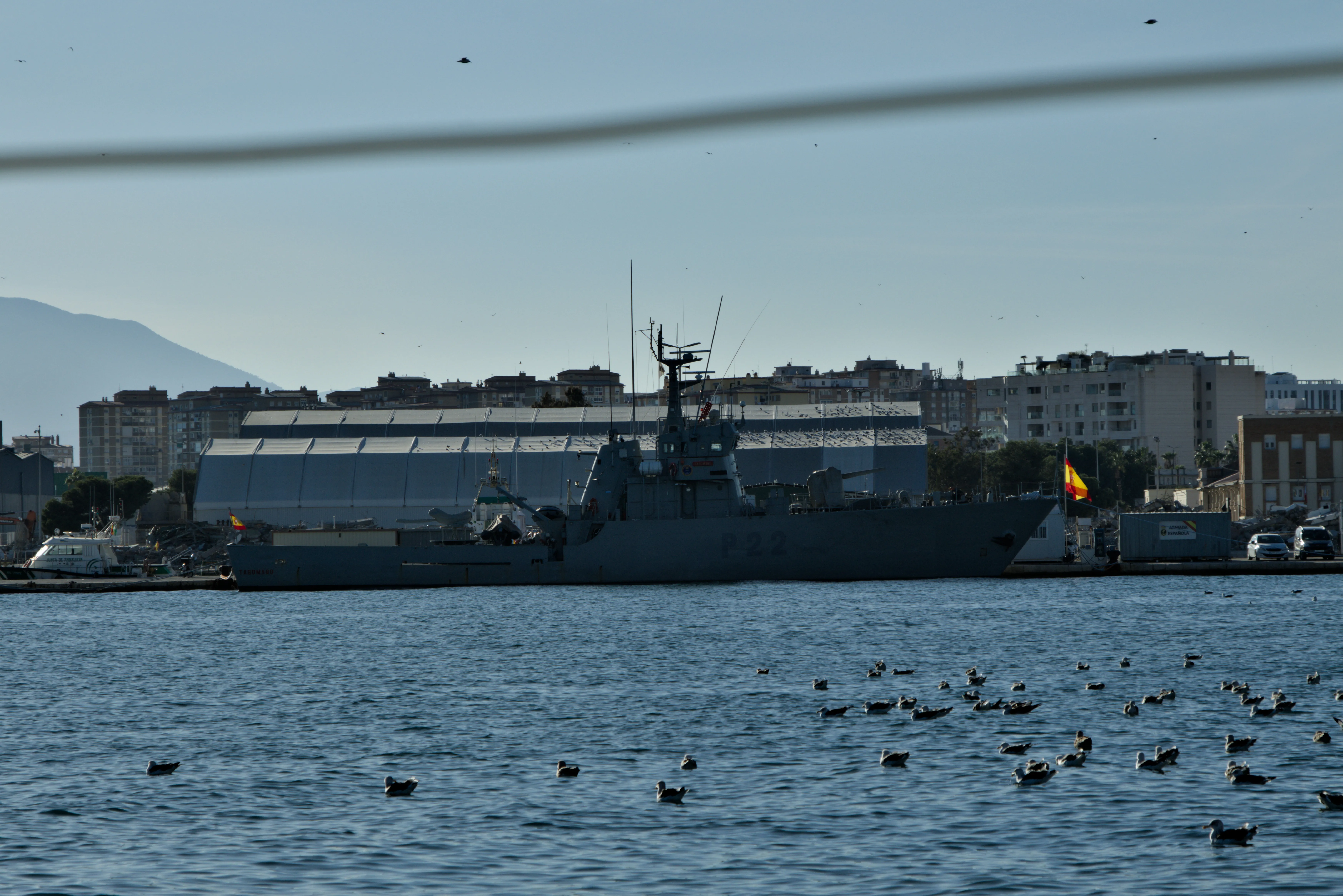 Tamron 28-300mm F3.5-6.3 (EF) - _I4A4217.webp